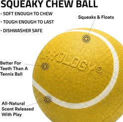 Playology Apple Cider Scented Squeaky Chew Ball Dog Toy, Medium slide 2 of 6