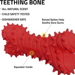 Playology Beef Scented Young & Active Teething Bone Dog Toy, Jumbo slide 2 of 6