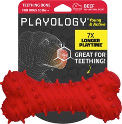 Playology Beef Scented Young & Active Teething Bone Dog Toy, Jumbo
