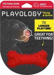 Playology Beef Scented Young & Active Teething Bone Dog Toy, Medium