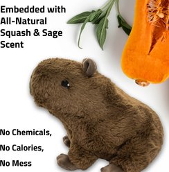 Playology Butternut Squash Scented Capybara Grunting Squeaky Plush Dog Toy, Brown, Jumbo slide 2 of 6