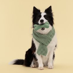 Playology Butternut Squash Scented Dual Layer Bone Dog Toy, Jumbo slide 2 of 6