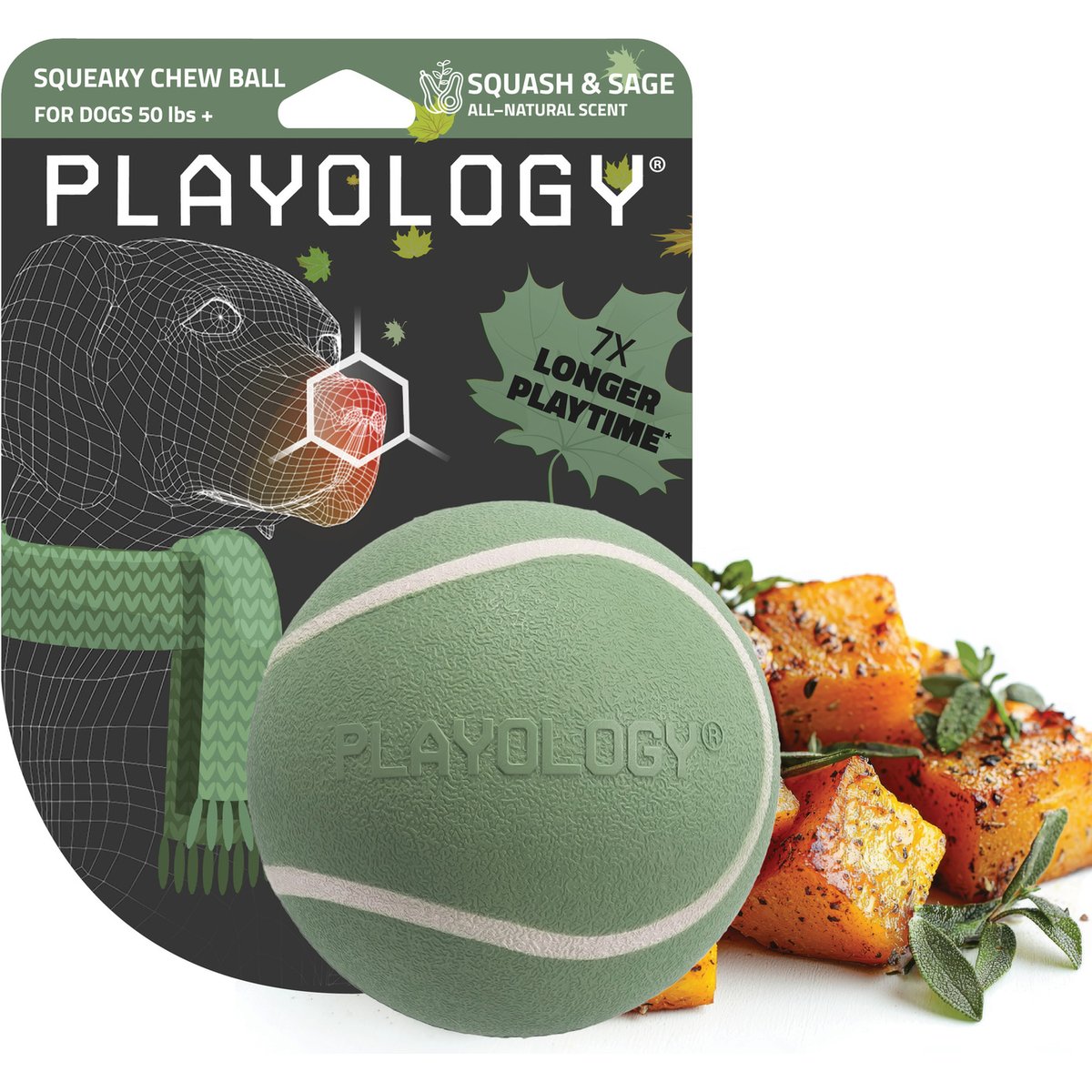 Playology Butternut Squash Scented Squeaky Chew Ball Dog Toy, Jumbo