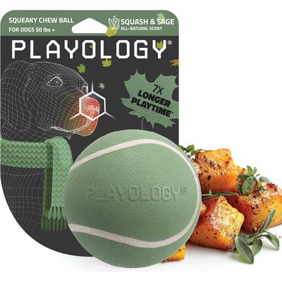 Playology Playology Butternut Squash Scented Squeaky Chew Ball Dog Toy, Jumbo