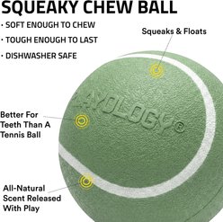Playology Butternut Squash Scented Squeaky Chew Ball Dog Toy, Medium slide 2 of 6