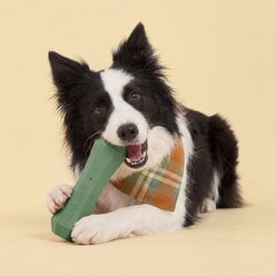 Playology Butternut Squash Scented Squeaky Chew Stick Dog Toy, Jumbo slide 2 of 6