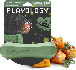 Playology Butternut Squash Scented Squeaky Chew Stick Dog Toy, Jumbo