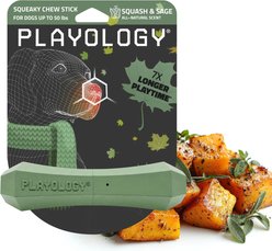 Playology Butternut Squash Scented Squeaky Chew Stick Dog Toy, Medium