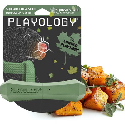 Playology Playology Butternut Squash Scented Squeaky Chew Stick Dog Toy, Medium