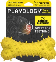 Playology Chicken Scented Young & Active Teething Bone Dog Toy, Jumbo