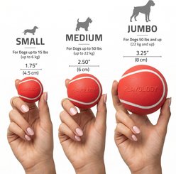 Playology Christmas Holiday Gravy Scented Squeaky Chew Ball Dog Toy, Red, Jumbo slide 2 of 5