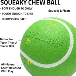 Playology Christmas Holiday Turkey Scented Squeaky Chew Ball Dog Toy, Green, Jumbo slide 2 of 5