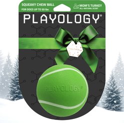 Playology Christmas Holiday Turkey Scented Squeaky Chew Ball Dog Toy, Green, Medium