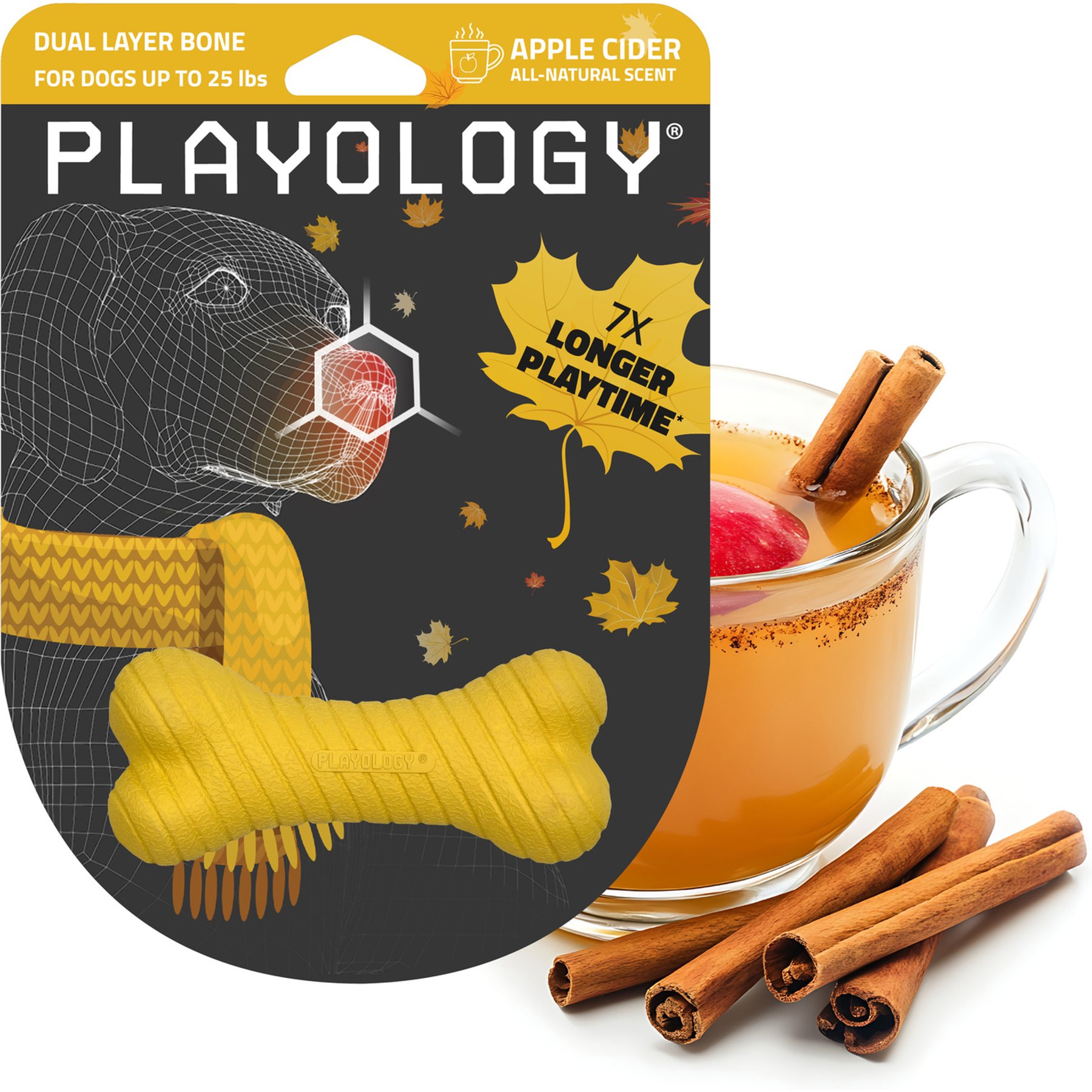 Playology Dual Layer Bone Apple Cider Scented Dog Toy, Small