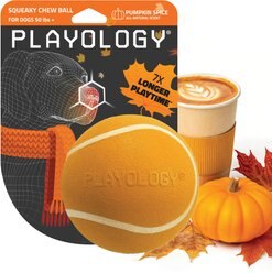 Playology Halloween Pumpkin Spice Scented Squeaky Chew Ball Dog Toy, Orange, Jumbo