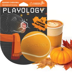 Playology Halloween Pumpkin Spice Scented Squeaky Chew Ball Dog Toy, Orange, Medium