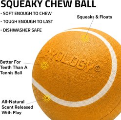 Playology Halloween Pumpkin Spice Scented Squeaky Chew Ball Dog Toy, Orange, Medium slide 2 of 6