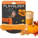 Playology Halloween Pumpkin Spice Scented Squeaky Chew Stick Dog Toy, Orange, Medium