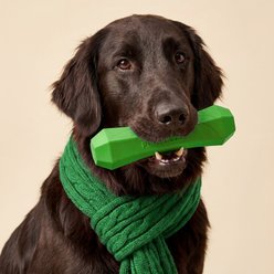 Playology Holiday Turkey Scented Squeaky Chew Stick Dog Toy, Green, Jumbo slide 2 of 6