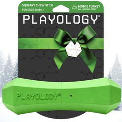 Playology Holiday Turkey Scented Squeaky Chew Stick Dog Toy, Green, Jumbo