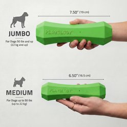 Playology Holiday Turkey Scented Squeaky Chew Stick Dog Toy, Green, Medium slide 2 of 6