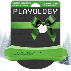 Playology Holiday Turkey Scented Squeaky Chew Stick Dog Toy, Green, Medium