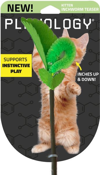 Show full view: Playology Inchworm Teaser Cat Toy slide 1 of 8