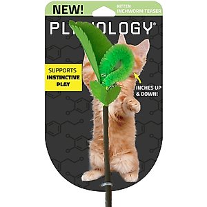 Playology Inchworm Teaser Cat Toy