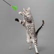 Show in main carousel: Playology Inchworm Teaser Cat Toy slide 4 of 8