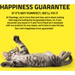 Show in main carousel: Playology Inchworm Teaser Cat Toy slide 6 of 8