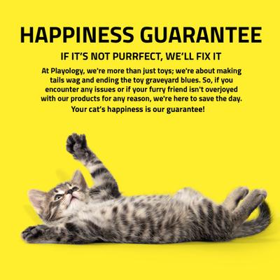 Show full view: Playology Inchworm Teaser Cat Toy slide 6 of 8