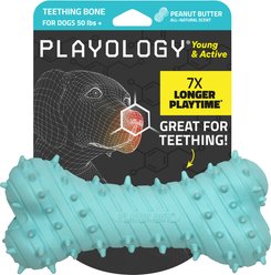 Playology Peanut Butter Scented Young & Active Teething Bone Dog Toy, Jumbo, 1 count