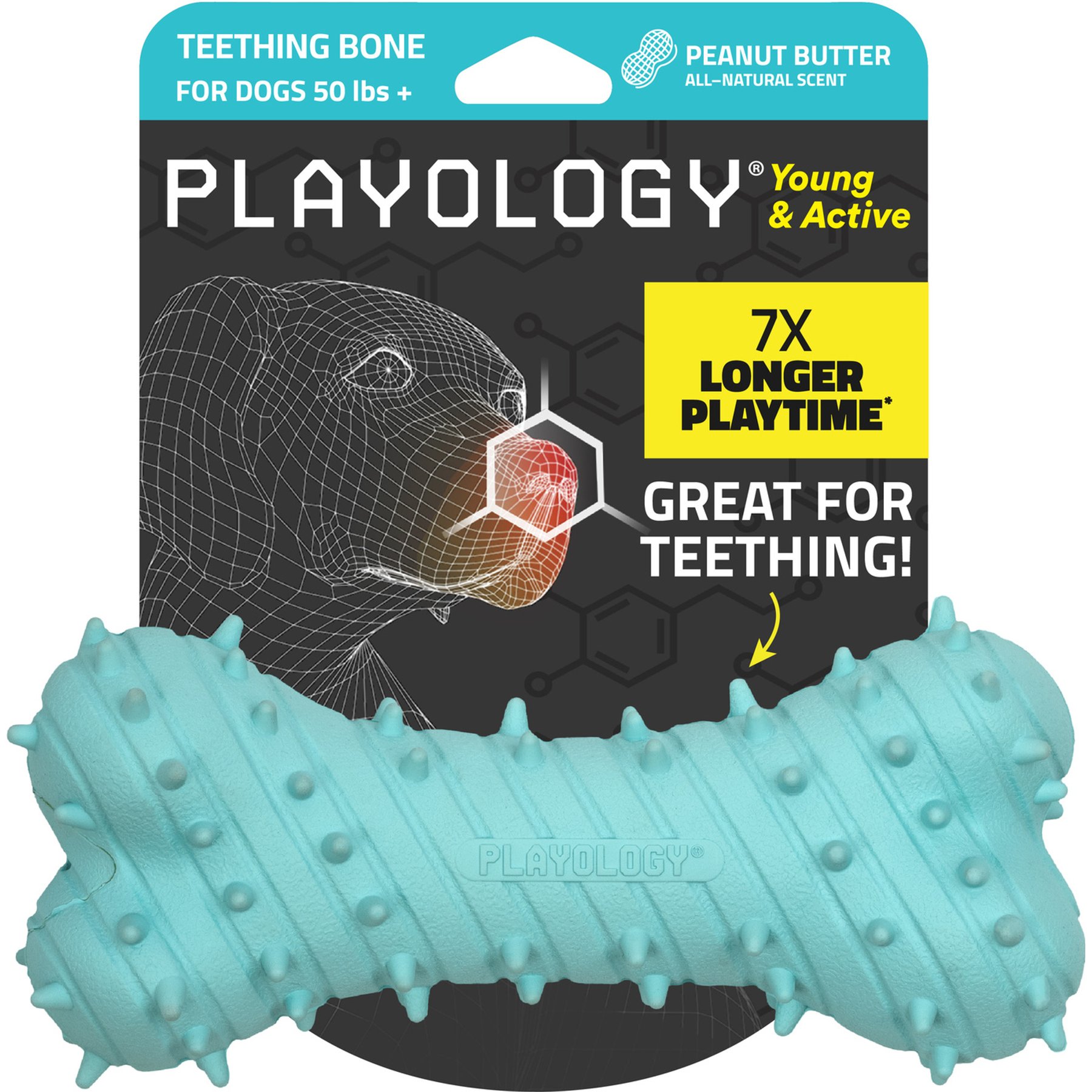 Playology Peanut Butter Scented Young & Active Teething Bone Dog Toy, Jumbo, 2 count