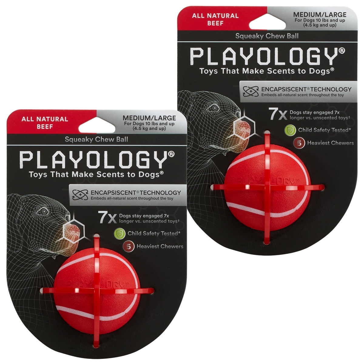 PLAYOLOGY Beef Scented Squeaky Chew Ball Dog Toy, Medium/Large,