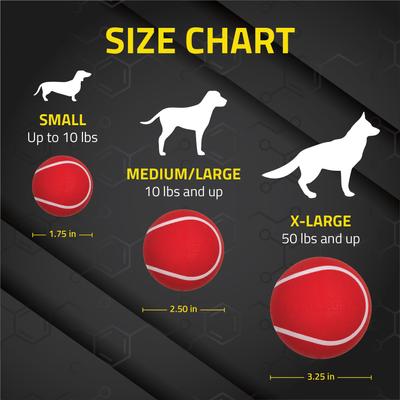 Show full view: Playology Beef Scented Squeaky Chew Ball Dog Toy, Medium/Large, 2 count slide 3 of 9