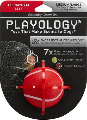 Show full view: Playology Beef Scented Squeaky Chew Ball Dog Toy, Medium/Large, 2 count slide 2 of 9