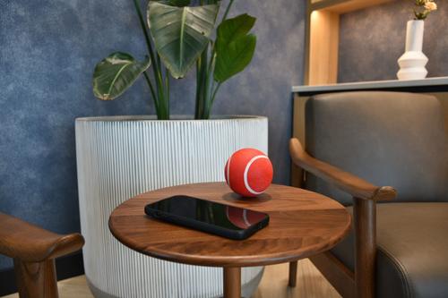 Show full view: Playology Beef Scented Squeaky Chew Ball Dog Toy, Medium/Large, 2 count slide 5 of 9