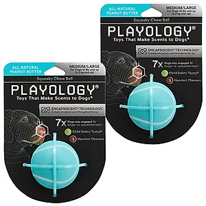 Playology Peanut Butter Scented Squeaky Chew Ball Dog Toy, Medium, 2 count