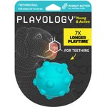 Nylabone Go! Active 3 Point Tug Dog Toy