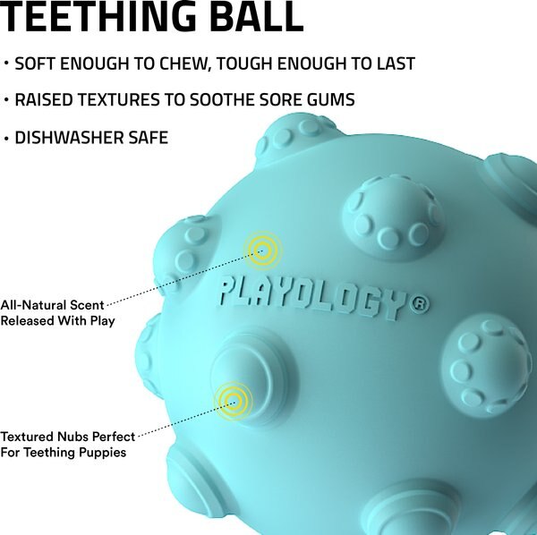 Playology Peanut Butter Scented Young & Active Teething Ball Dog Toy, Medium