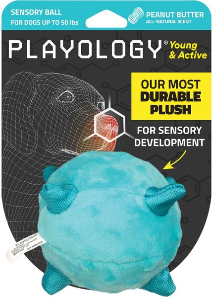 Playology Peanut Butter Scented Young & Active Sensory Ball Dog Toy