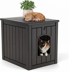 PLAYRANK All Season Indoor & Outdoor Lockable Door Cat House, 18.46 x 23.62 x 21.42-in, Black