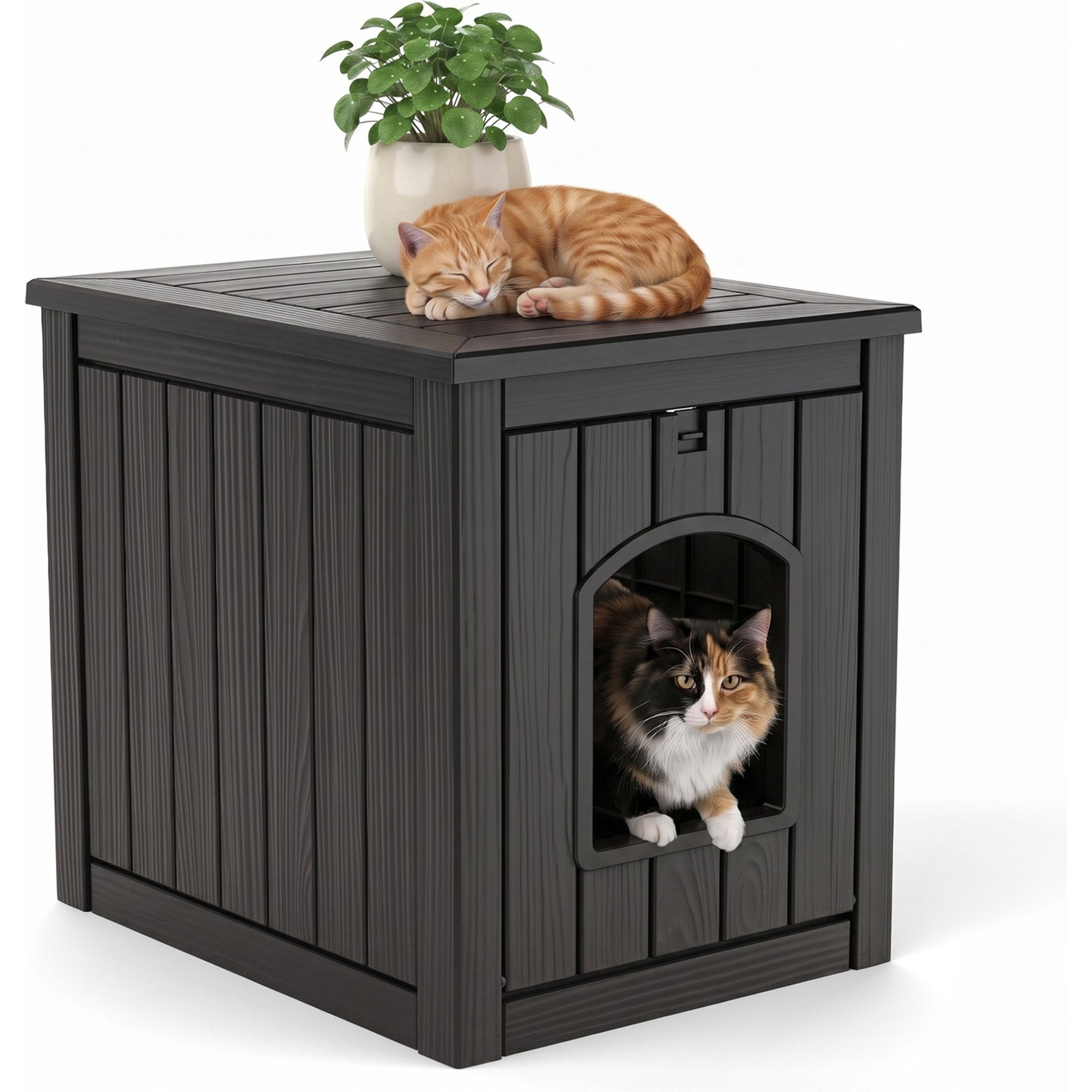 PLAYRANK All Season Indoor & Outdoor Lockable Door Cat House, 18.46 x 23.62 x 21.42-in, Black