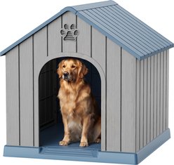 PLAYRANK Resin Outdoor Dog House with Elevated Platform, Large: 38.62 x 36.26 x 38.07-in, Blue