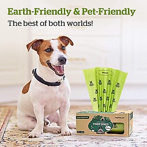 Pogi's Pet Supplies Pantry Pack Poop Bags, Unscented, 500 count