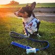 Show in main carousel: Pogi's Pet Supplies Poop Bag Dispenser + 15 Scented Waste Bags slide 8 of 10