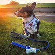 Show in main carousel: Pogi's Pet Supplies Poop Bags, Unscented, 450 count slide 8 of 10