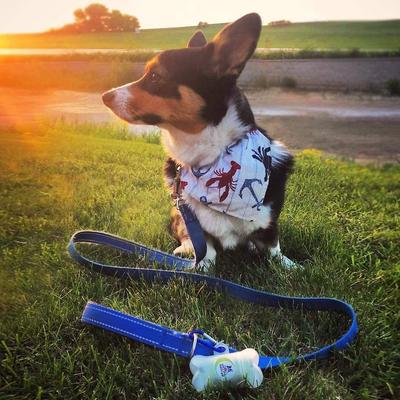 Show full view: Pogi's Pet Supplies Poop Bags, Unscented, 450 count slide 8 of 10