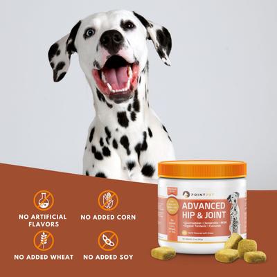 Show full view: PointPet Advanced Hip & Joint Duck Flavor with Glucosamine, MSM & Chondroitin Senior Dog Supplement, 90 count slide 4 of 13