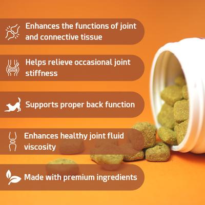 Show full view: PointPet Advanced Hip & Joint Duck Flavor with Glucosamine, MSM & Chondroitin Senior Dog Supplement, 90 count slide 5 of 13